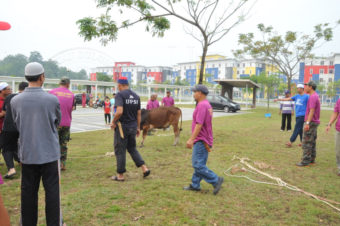 PRO15 150 KORBAN HAS 6729